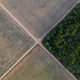 Imagen para el artículo titulado Los países del Acuerdo de París se comprometieron a plantar tantos árboles que tienen un problema